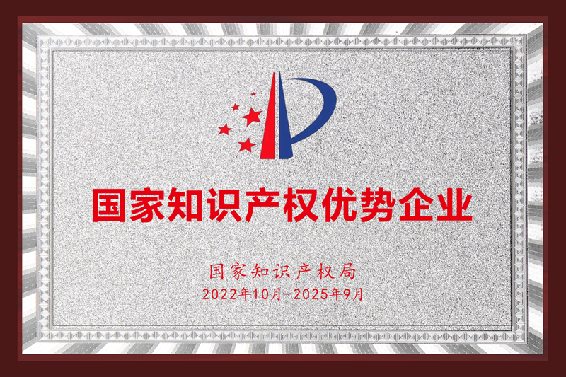 National Intellectual Property Advantage Enterprise